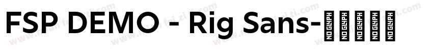 FSP DEMO - Rig Sans字体转换